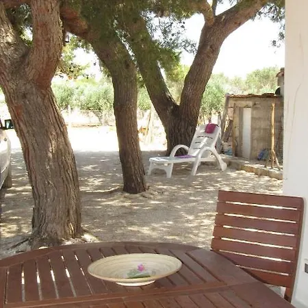 Torre-borraco