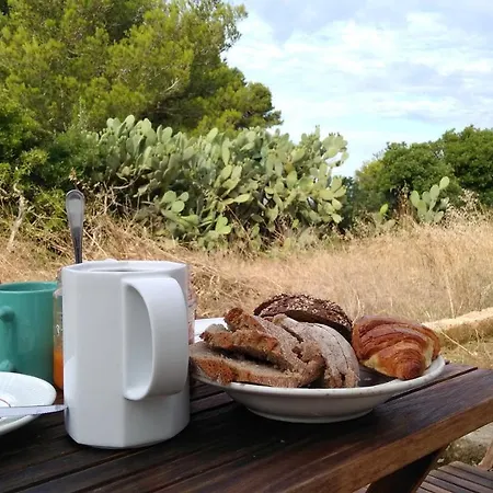 Torre-borraco Holiday home San Pietro in Bevagna