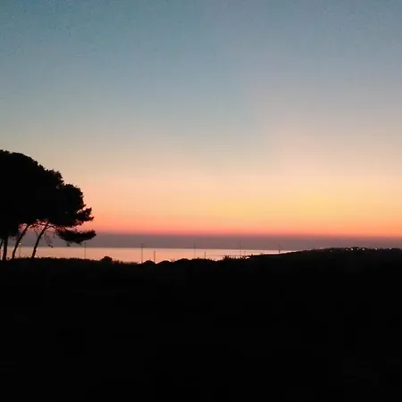 Torre-borraco *