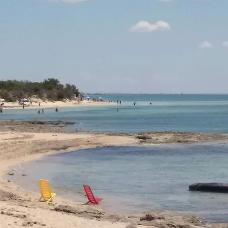 Torre-borraco *